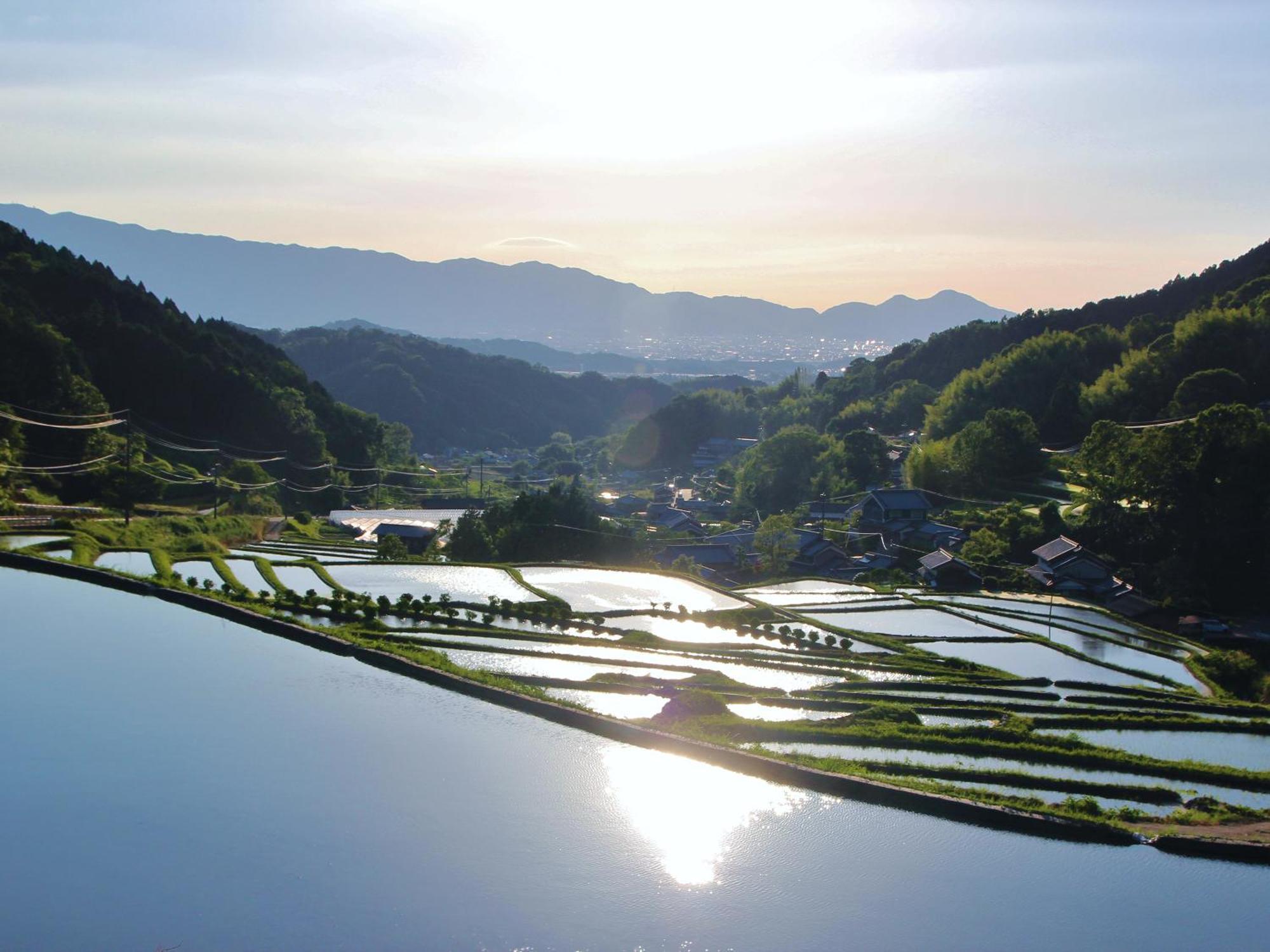 Hotel Grand Mercure Nara Kashihara Kashihara  Exterior foto