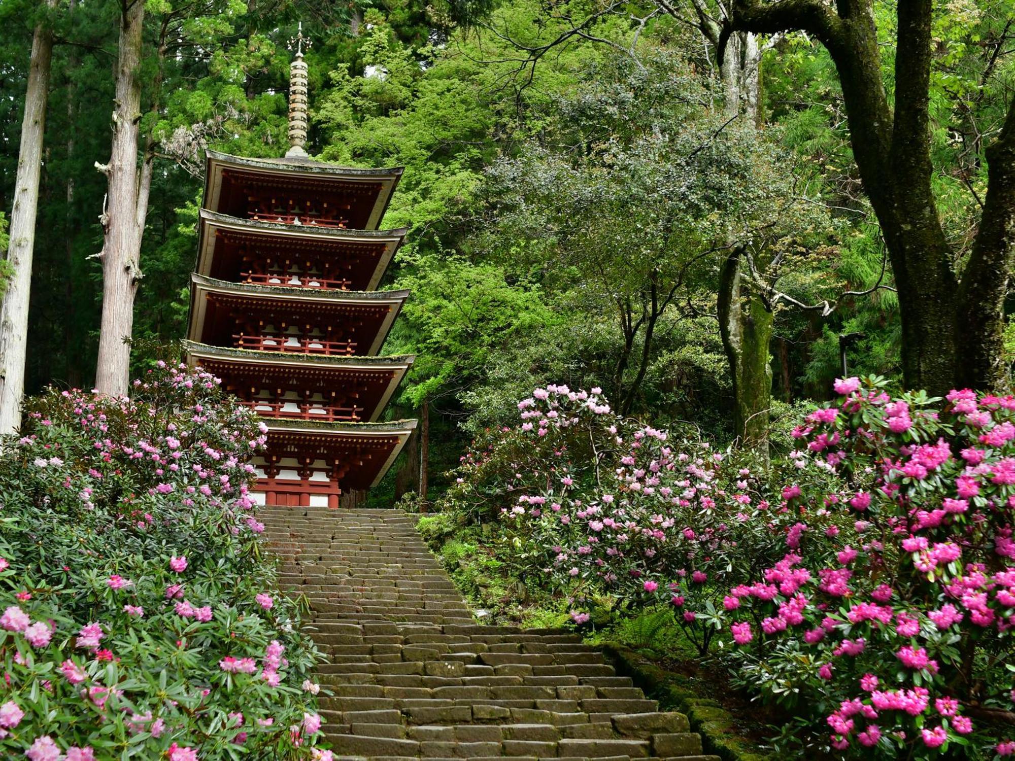 Hotel Grand Mercure Nara Kashihara Kashihara  Exterior foto